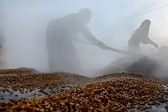 File:Ancient Grain Preservation Methods.jpg