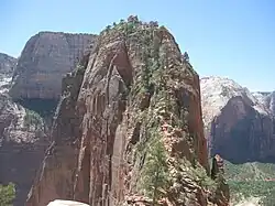 Vista para o topo do Angels Landing