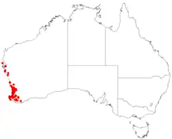 Dados de ocorrência do Herbário Virtual da Australásia.