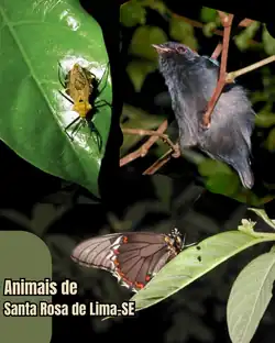 Nomes das espécies no sentido horário: Montina lobata Stål, 1859 [Hemíptera]; Chiroxiphia pareola (Linnaeus, 1766) [tangará-príncipe]; Battus polydamas (Linnaeus, 1758) [borboleta-cauda-de-andorinha-de-borda-dourada].