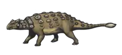 Ankylosaurus magniventris