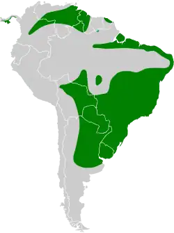 Distribuição da espécie na América do Sul e Central