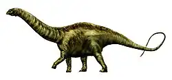 Brontossauro (Apatosaurus excelsus), um dinossauro saurópodo