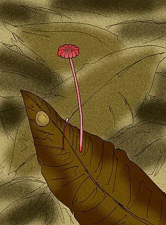 Reconstrução artística