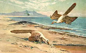 Archaeopteryx por Heinrich Harder, ca. 1916