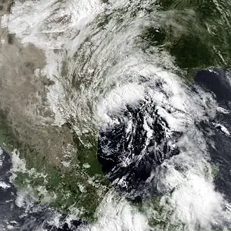 imagem ilustrativa de artigo Tempestade tropical Arlene (1993)