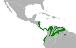 Distribuição do tico-tico-cantor