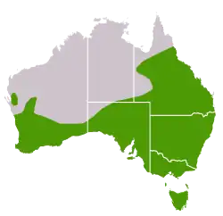 Distribuição de Artamus cyanopterus - Austrália.