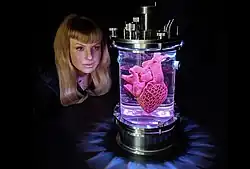 The Heart of Evolution?