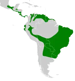 Distribuição geográfica da Coruja orelhuda