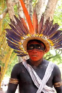 Pintura corporal e arte plumária Assurini.