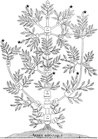 Arbre botanique (árvore botânica) por Augustin Augier de 1801.[3]