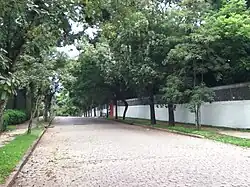 A Avenida Luiz Manoel Gonzaga.