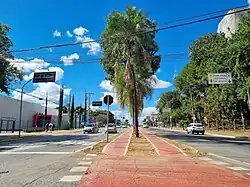 Avenida Universitária, 2024.