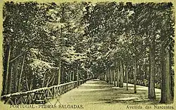 Avenida das Nascentes.