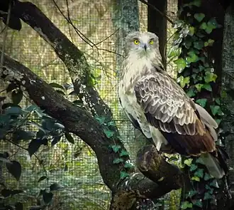 Parque biológico de Gaia