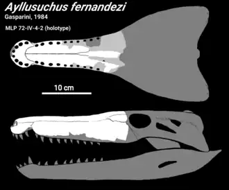 Diagrama do crânio mostrando restos preservados em branco