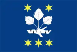 Bandeira de Březejc