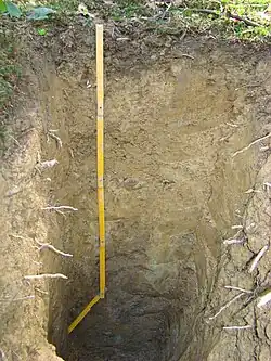 Buraco cúbico mostrando as camadas mais superficiais do solo, a mais superficial é um solo marrom escuro com algumas plantas, inferior a essa o solo é marrom claro com algumas raízes secas.