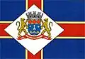 Bandeira de Bom Jesus dos Perdões