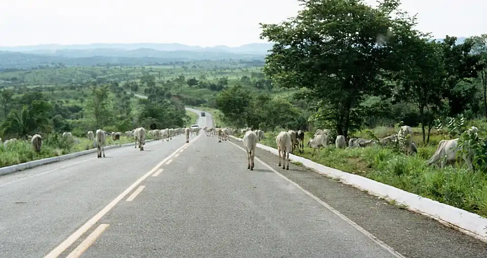 BR-070 entre Jussara, (GO) e Goiás, (GO)]]