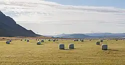 Fardos de palha perto de Akranes