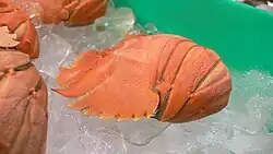 Um inseto cozido de Balmain. Também conhecida como lagosta borboleta, é uma espécie de lagosta que vive em águas rasas ao redor da Austrália.