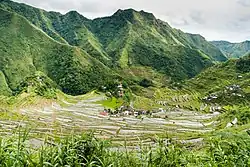 Arrozais em terraços de Batag, Patrimônio Mundial inscrito em 1995.