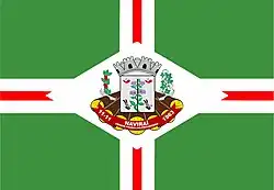 Bandeira de Naviraí