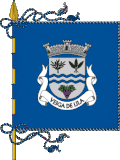 Bandeira de Veiga de Lila