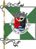 Bandeira de Ermesinde