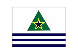 Bandeira do Município de Figueirópolis d`Oeste