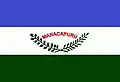 Bandeira de Manacapuru