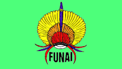 Bandeira {{{nome_pt}}}