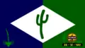 Bandeira de Olivedos