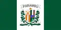 Bandeira de Parambu