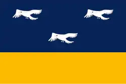 Bandeira de Arapongas