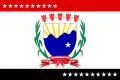 Bandeira de Bernardino Batista