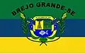 Bandeira de Brejo Grande