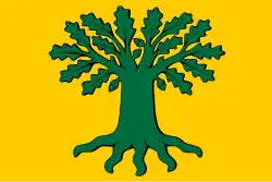 Bandeira de Carvalho