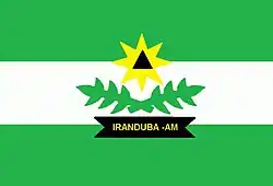 Bandeira de Iranduba