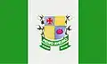 Bandeira de Pedro Avelino