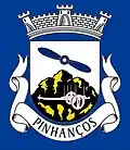 Bandeira de PINHANÇOS