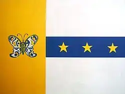Bandeira de Tanabi