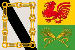 Bandeira de Xinzo de Limia