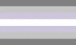 variação exclusiva da bandeira demi-não-binária