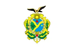 Bandeira do governador do Amazonas, com o brasão ao centro.