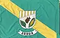 Bandeira de Arauá