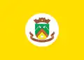 Bandeira de Santa Rosa de Lima