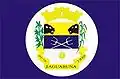 Bandeira de Jaguaruna